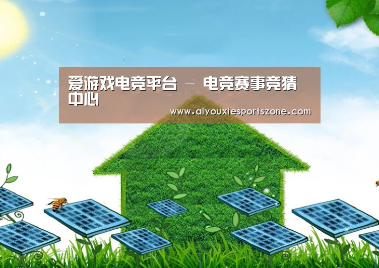 爱游戏体育公司