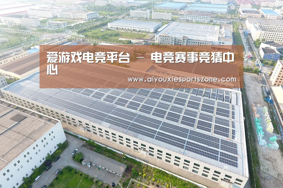 案例展示二