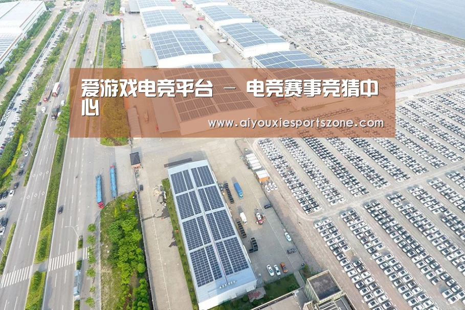 案例展示一