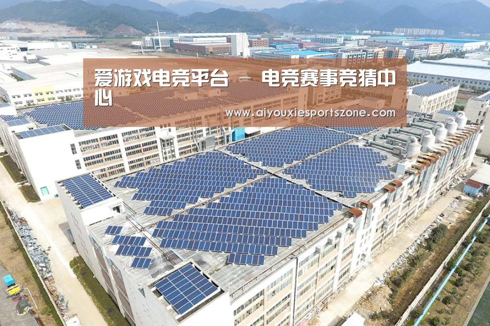 案例展示四