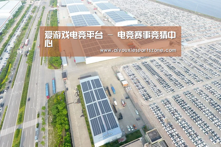 案例展示二
