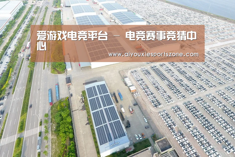 案例展示三