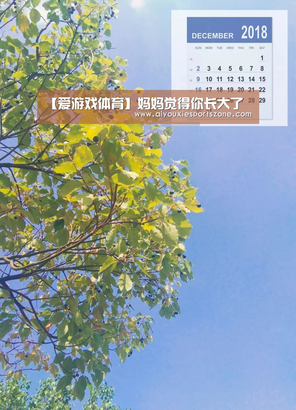 爱游戏官网